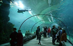 Oceanium Blijdorp