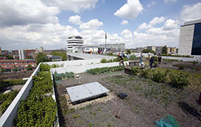 Daktuin Schieblock Rotterdam