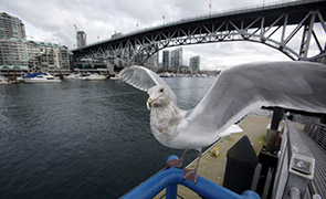 Vancouver